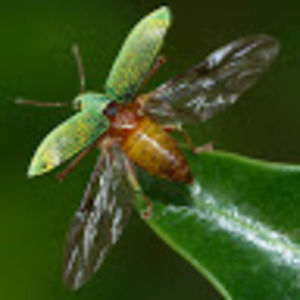 Meet your Posher, Erica